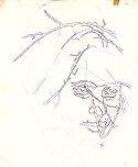 Faces of Autumn Pencil Study
