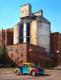 Miss Harlequin & The Sugar Factory